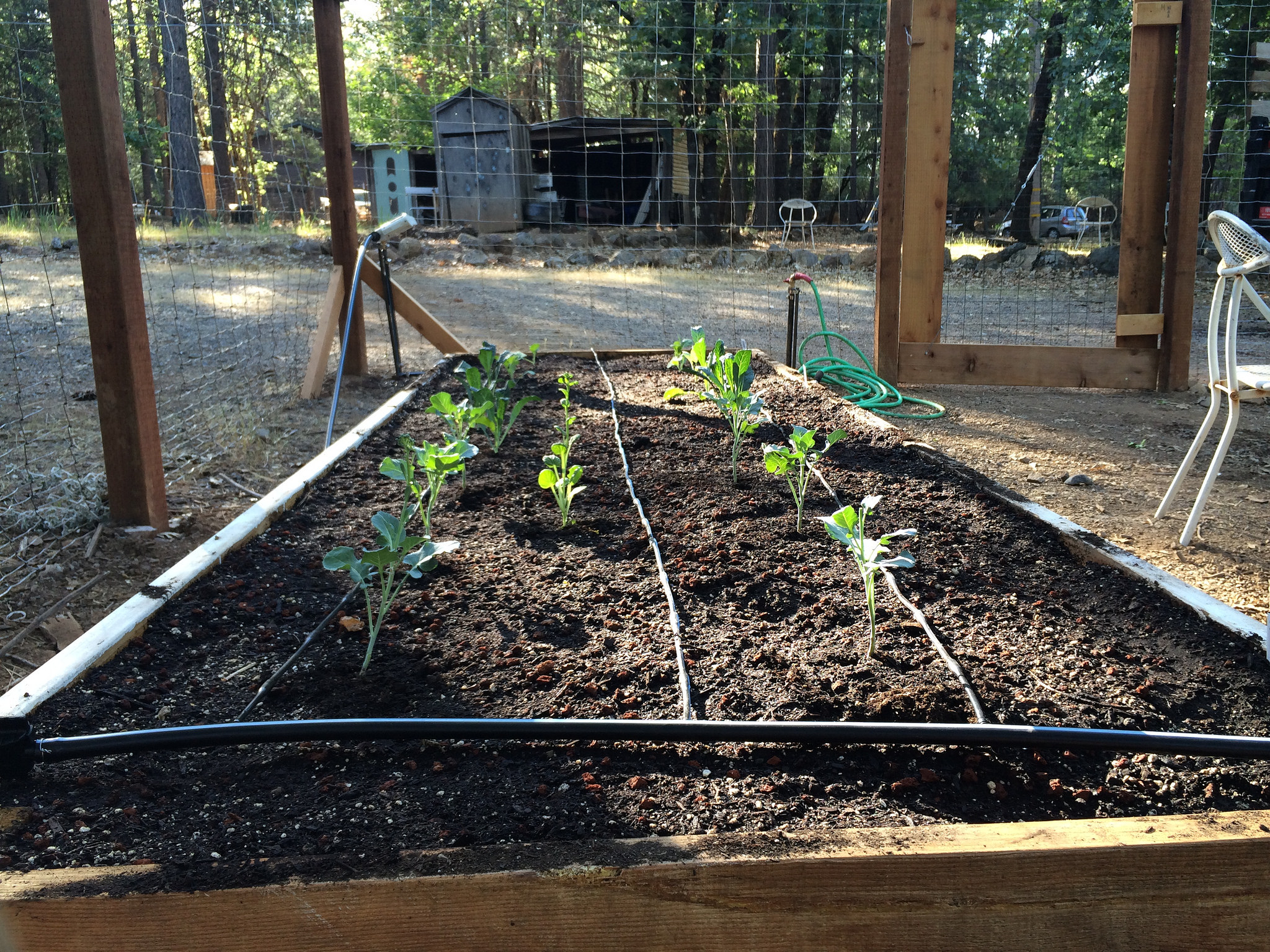 Malawi garden home